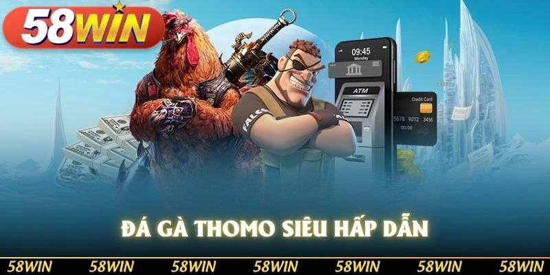 Đá gà Thomo siêu hấp dẫn