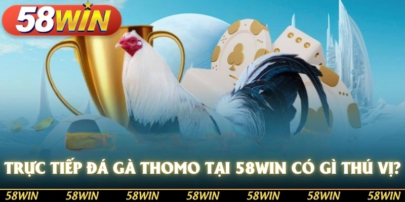 Trực tiếp đá gà thomo tại 58WIN có gì thú vị?