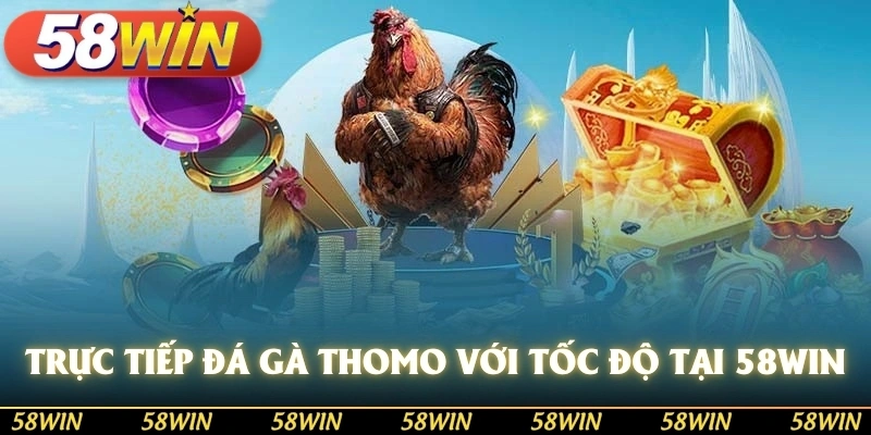 Tham gia xem trực tiếp đá gà thomo tại nhà cái 58WIN