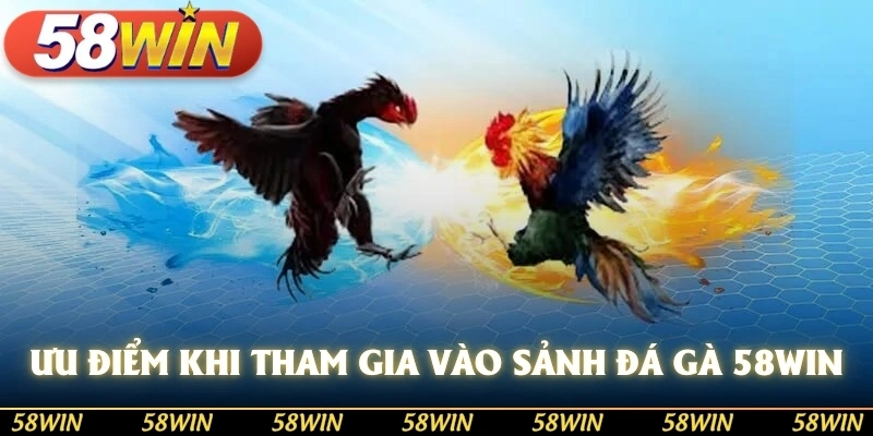 Ưu điểm khi tham gia vào sảnh cược đá gà 58WIN